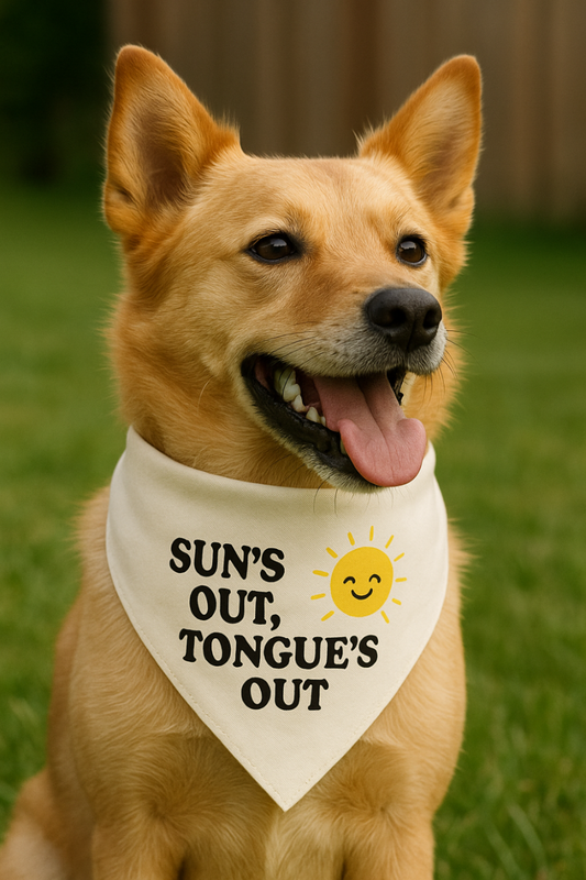 Pet bandana collar